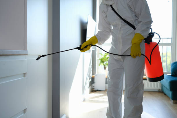 Best Residential Mold Removal  in Home Garden, CA