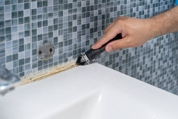 Best Mold Cleaning Services  in Home Garden, CA