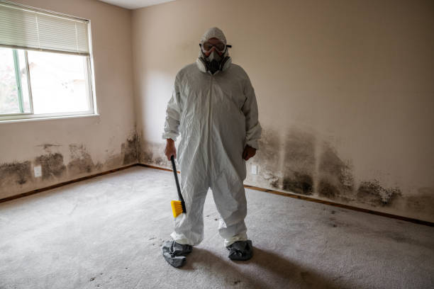 Best Crawl Space Mold Removal  in Home Garden, CA